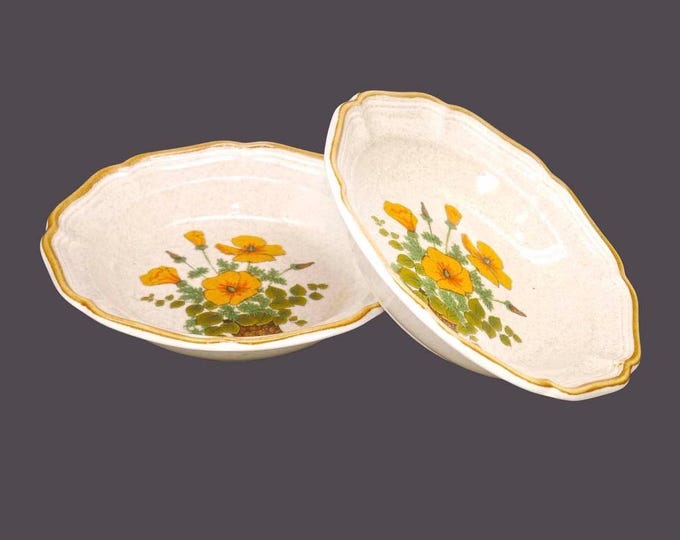 Pair of Mikasa Petunias EC401 rimmed stoneware soup bowls. Garden Club stoneware made in Japan.