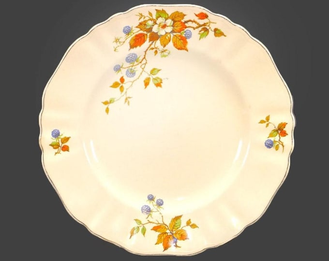 Antique Edwardian Age J&G Meakin MEK55 dinner plate. Sol Sunshine ironstone made in England.