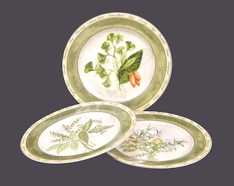 Vintage American Atelier Bouquet Garni stoneware salad plates. Multi-motif herbs. 3 plates.