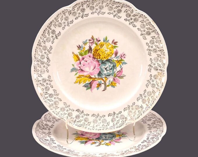 Pair of Sovereign Potters SVP31 dinner plates. Flaws (see below).