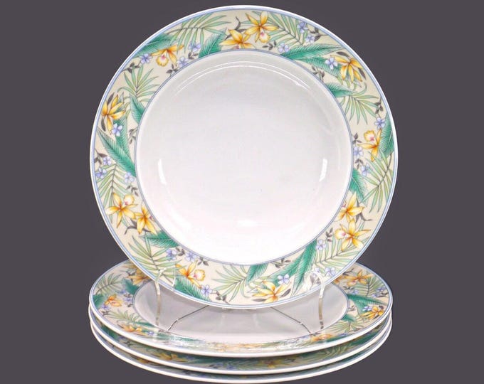 Four Christopher Stuart Polynesia Y0235 rimmed soup bowls.