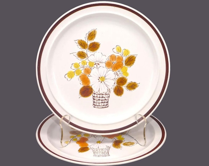 Pair of Japan Stoneware Flower Basket S-9 salad plates.