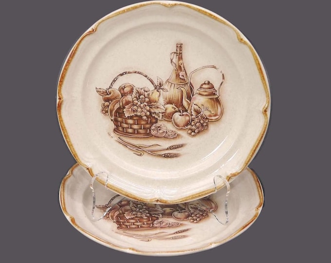 Vintage Sunmarc Chianti SM-6681 stoneware salad plates made in Japan. 2 plates.