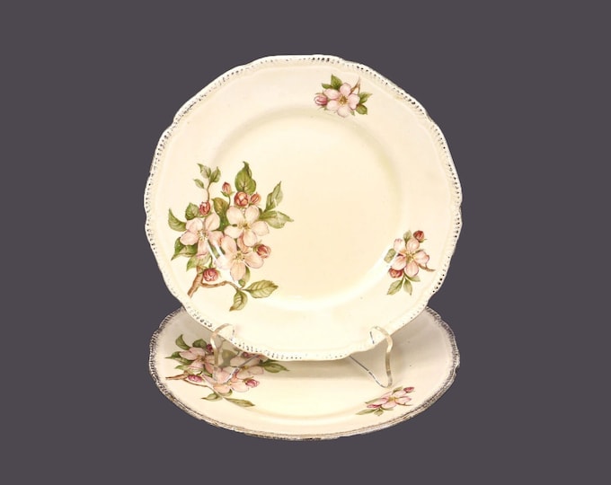 Pair of Royal Swan Blossomtime salad plates made in England.