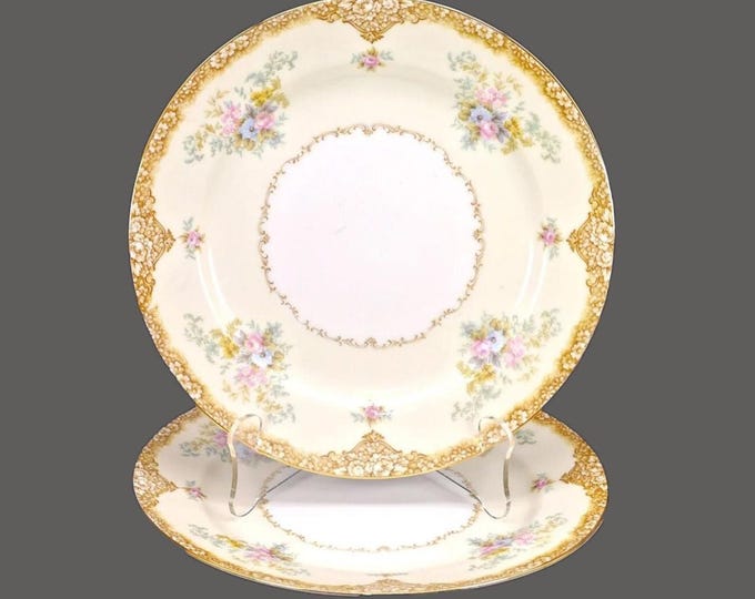 Pair of Noritake | Morimura | hand-painted Nippon Encina luncheon plates made in Japan.