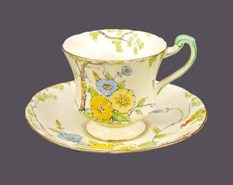 Antique Paragon Star China Co Convolvulvus hand-decorated cup and saucer set. Bone china made in England. Rare.