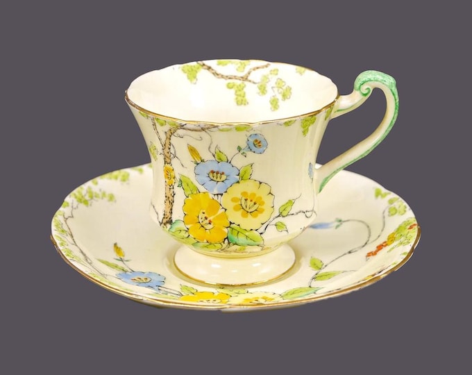 Antique Paragon Star China Co Convolvulvus hand-decorated cup and saucer set. Bone china made in England. Rare.