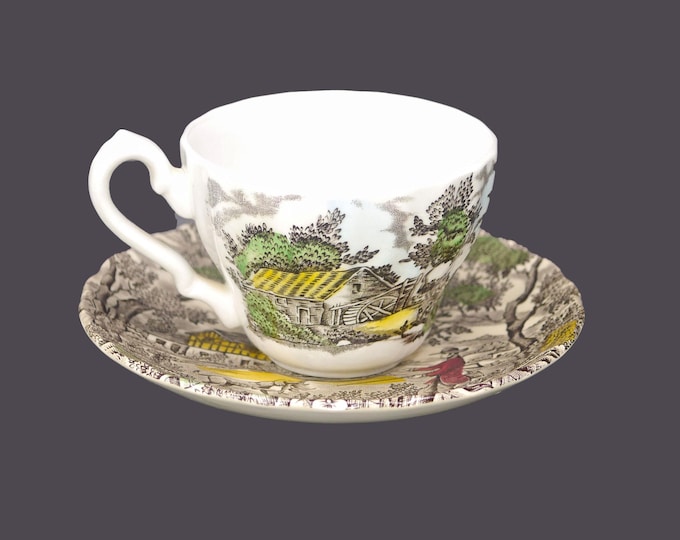 Myott The Hunter Multicolor cup and saucer set made in England.
