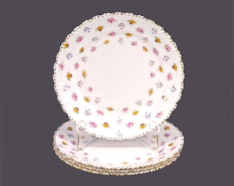 Four Royal Stafford Rose, Pansy, Forget-Me-Not salad plates. Bone china made in England. Flaws (see below).