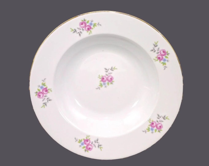 Vintage JL Menau Graf Von Henneberg HEP29 rimmed soup bowl made Germany.