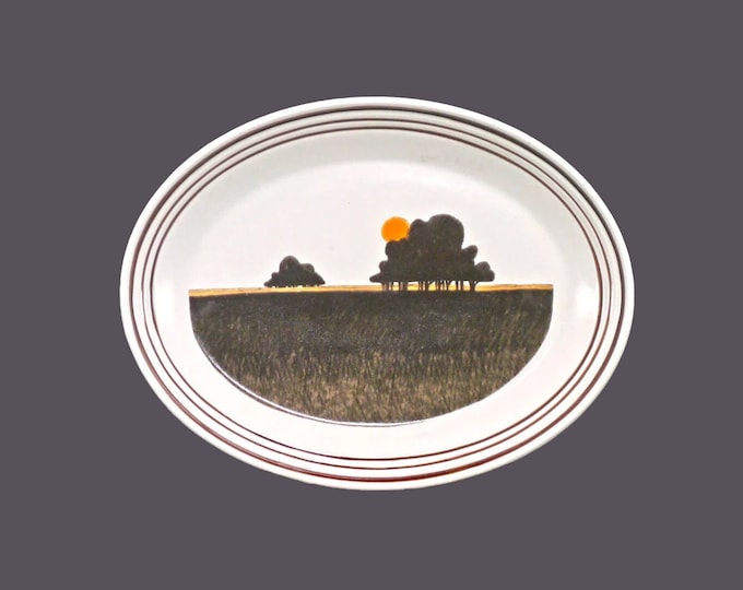 Royal Doulton Prairie LS1031 oval stoneware platter. Lambethware stoneware made in England.