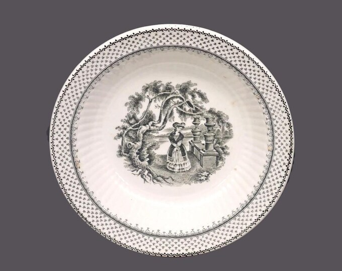 William Adams Minuet Black rimmed fruit nappie, dessert bowl. Real English Ironstone made in England. Sold individually.
