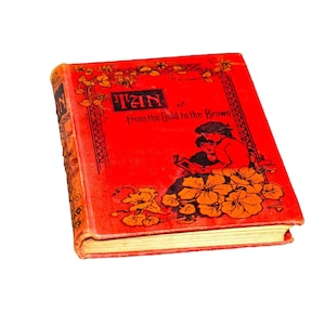 Hellbraun oder Zwischen Gold und Braun | Vom gold zum braunen Hardcover-Buch. Florence Davies.