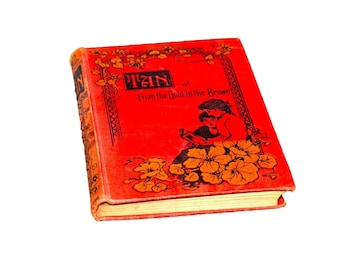 Antiquarian book Tan or Between the Gold and the Brown: 1925 First Edition