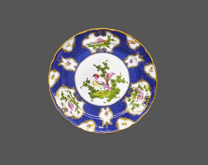 Antique Regency era Royal Worcester Chelsea Bird | Exotic Bird garniture plate. Cobalt, chelsea birds and insects in cartouches.