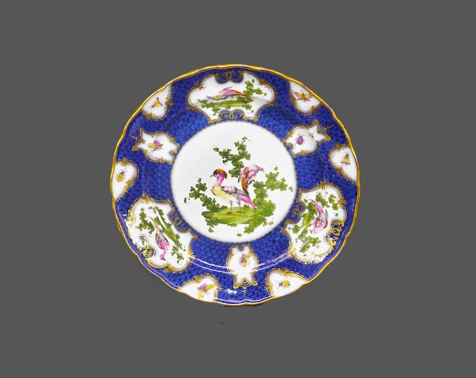 Antique Royal Worcester Chelsea Bird | Exotic Bird garniture plate. Cobalt, chelsea birds and insects in cartouches.