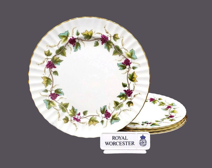 Royal Worcester Bacchanal White Z2822 dinner plate. Bone china made in England. Sold individually.