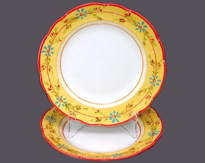 Pair of Culinary Arts Petit Jardin large dinner plates.