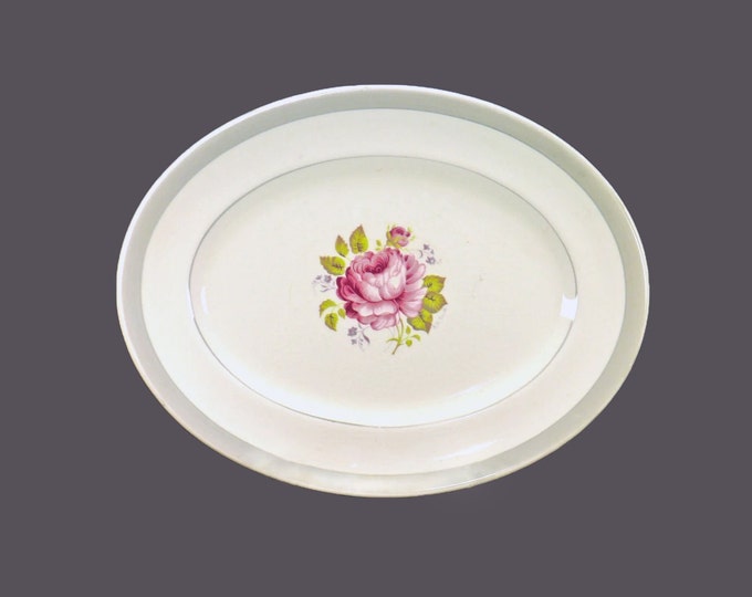 Myott Admiration oval platter made in England.