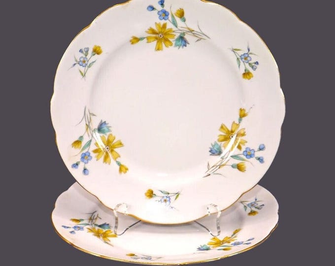 Pair of Cmielow bread plates made in Poland. Blue, yellow dragon flowers.
