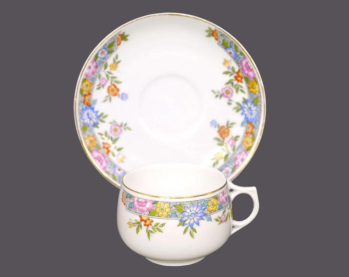 Antique art-nouveau era Hutschenreuther Royal Bavarian Vernon cup and saucer set made in Germany.