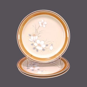 Three Hearthside Water Colors Dawn large stoneware dinner plates made in Japan.