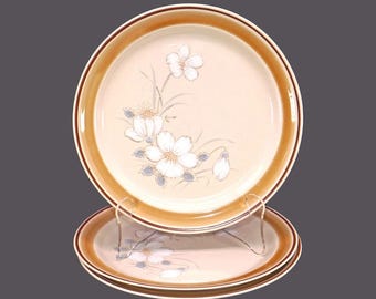 お皿 ハースサイドストーンウェア 10枚 Classics by Hearthside ハース