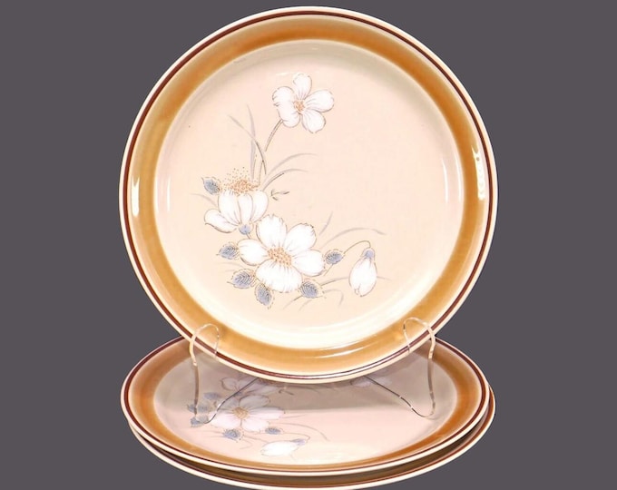 Three Hearthside Water Colors Dawn large stoneware dinner plates made in Japan.