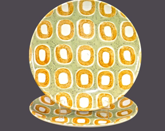 Pair of Royal Stafford Radio | RST270 large dinner plates made in England.