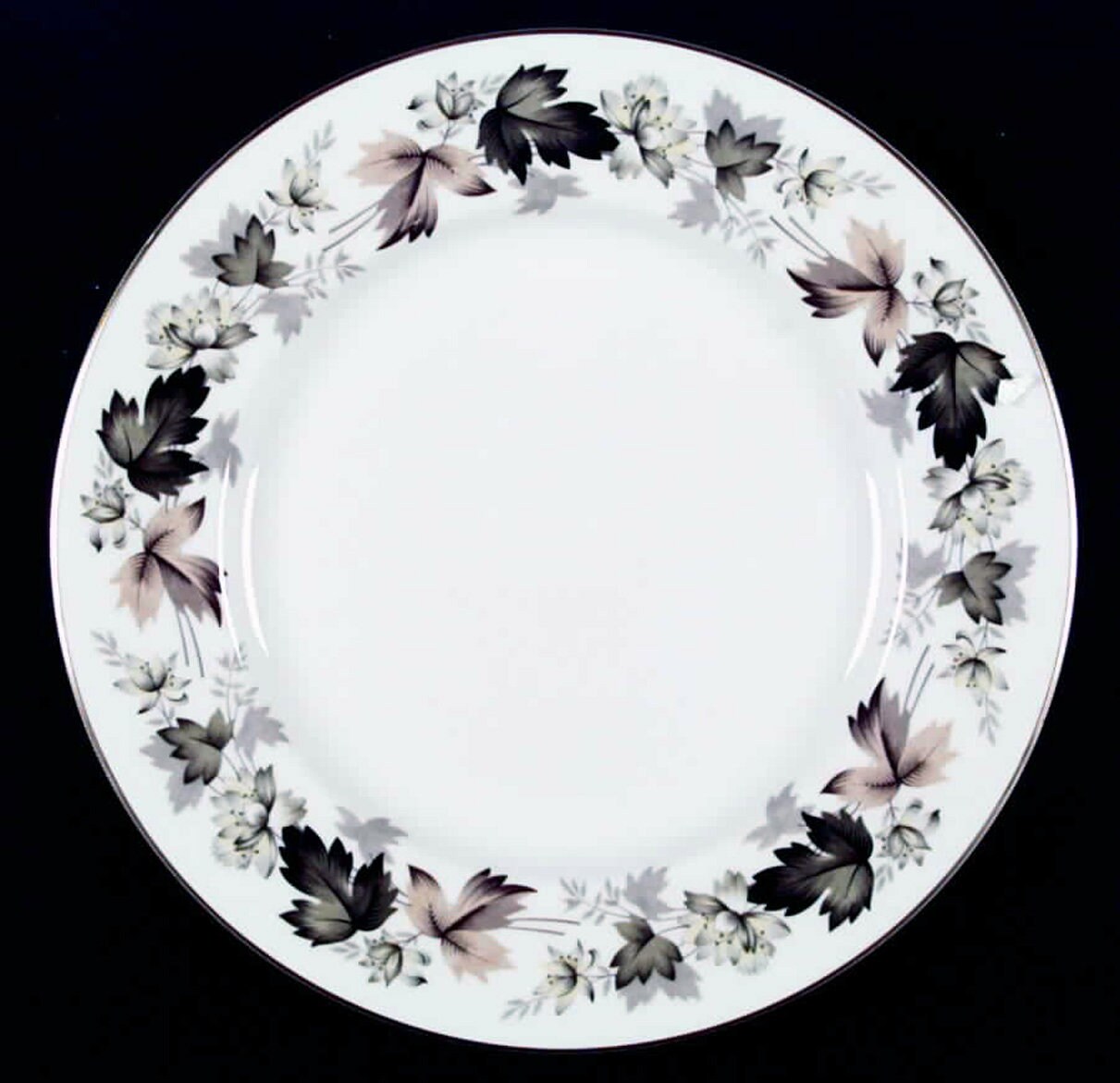 Vintage (1970s) Royal Doulton Larchmont TC1019 large dinner plate