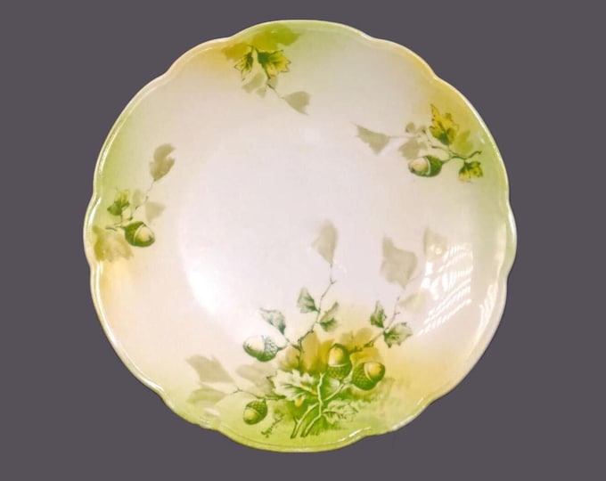 Antique MZ Austria | LS&S | Lazarus Straus Sons signed, numbered cabinet plate. Graduated greens, acorns.