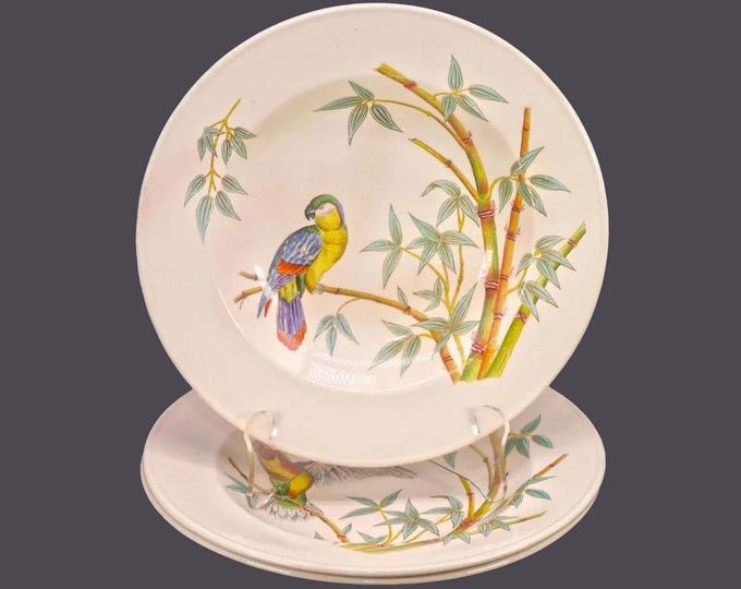 Three antique Victorian-era French China Co | FC & Co | Sebring Washington 8005 rimmed, hand-painted soup bowls.