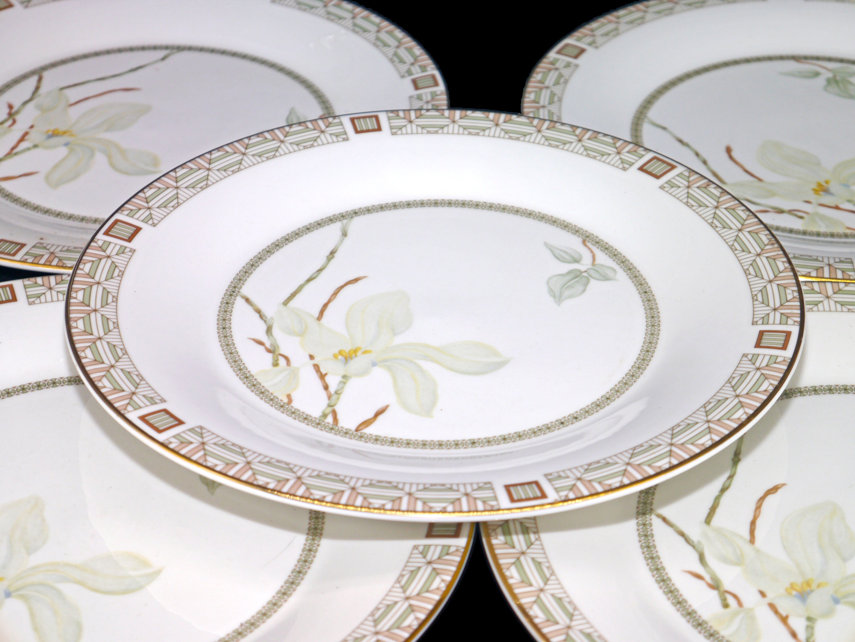 Five Royal Doulton White Nile TC1122 large dinner plates made in England.