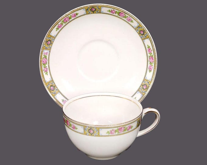 Antique Edwardian Age Alfred Meakin Clifton cup and saucer set made in England. Sold individually.