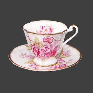 Vintage Roslyn Bone China 8567 cup and saucer set made in England.