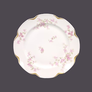 Antique CH Field Haviland Limoges The Trocadero salad plate made in France. Sold individually.
