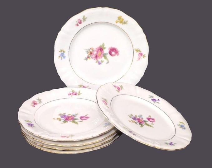 Six Winterling Schwarzenbach WIG729 bread plates made in Bavaria. Multi-motif Dresden florals.