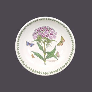 Portmeirion Botanic Garden individuelle Pastaschüssel. Susan Ellis Williams. Hergestellt in England. Muster wählbar. Jeder wird einzeln verkauft.
