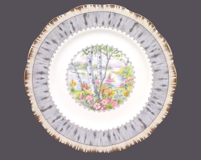 Royal Albert Crown China Silver Birch bone china bread plate made in England. Sold individually.
