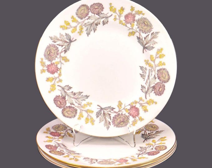 Four Wedgwood Lichfield W4156 luncheon plates. Bone china made in England.