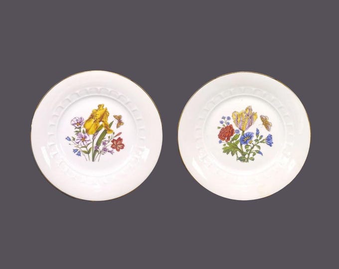 Pair of Josef Kuba Weisau JKW39 dessert plates. Multicolor florals, butterflies. Made in Bavaria.