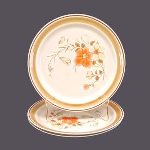 Three Hearthside Water Colors Blush large stoneware dinner plates made in Japan.