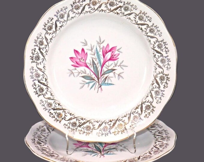 Pair of British Anchor Pottery 6001 luncheon plates. Regency ironstone made in England. Flaw (see below).