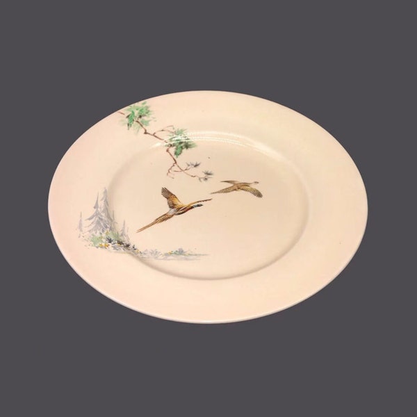 Royal Doulton The Coppice D5803 plate made in England. Choice of size sold individually.