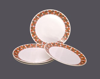 Vintage Noritake Southern Glow dinner plates. Progression Stoneware made in Japan. Set of 4.