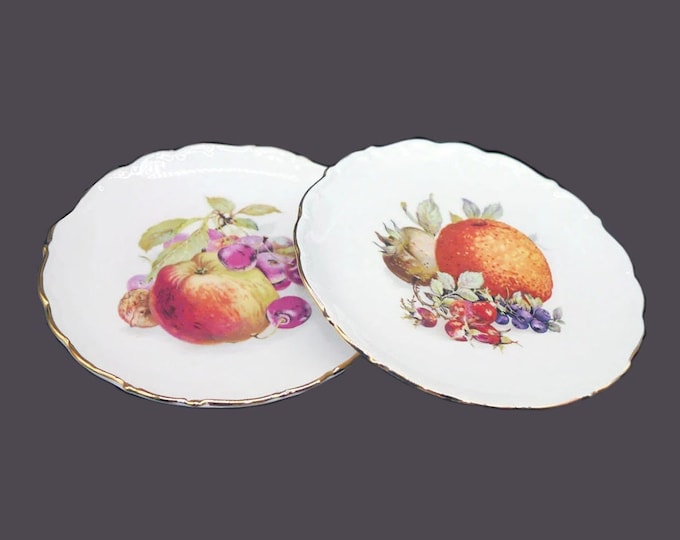 Pair of Schumann Arzberg SCH16 Bavarian fruit plates made in Germany.