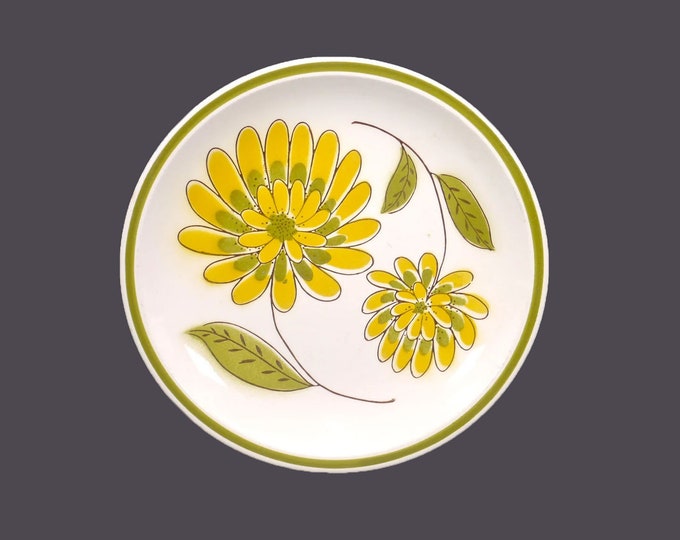 Mikasa Tampa retro flower-power stoneware salad plate. Cera-Stone stoneware made in Japan. Sold individually.