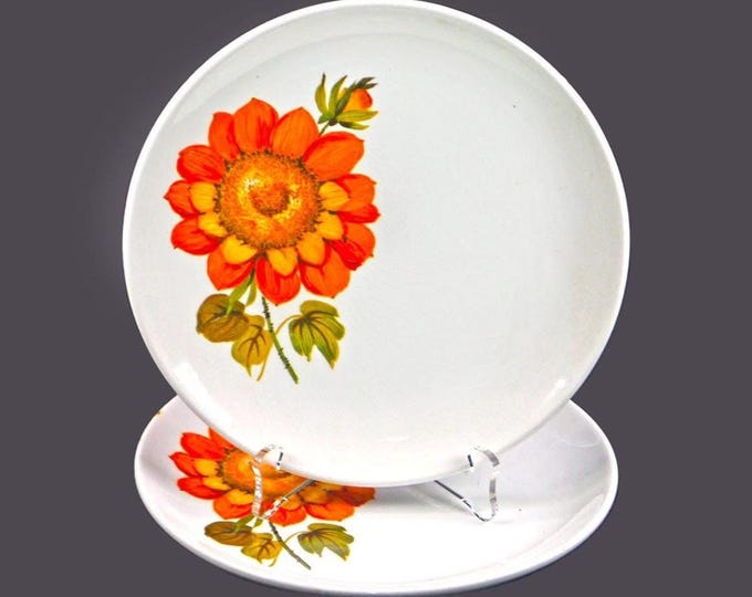 Retro vintage Barker Bros. Sunnyside Bread Plates made in England. Flower power. 2 plates.