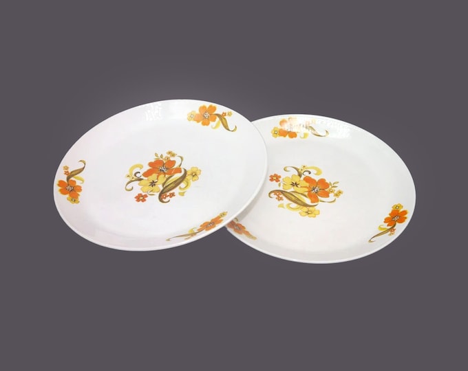 Pair of Johnson Brothers Romance dinner plates made in England. Flaw.
