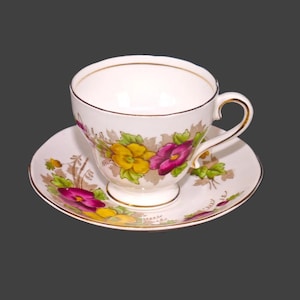 Salisbury Bone China Pansy 1898 cup and saucer set made in England.